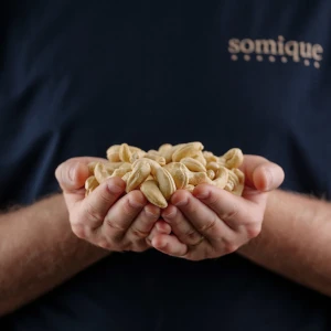 Hands with cashew nuts