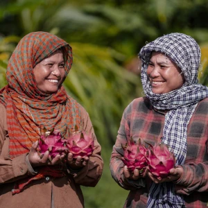 Dragon fruits farmer