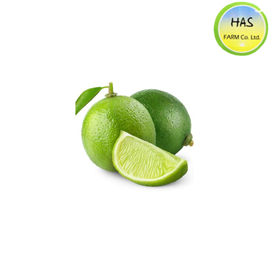 ក្រូចឆ្មារ