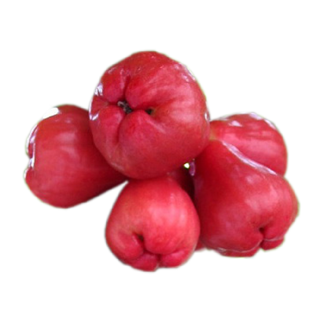 ជំពូ